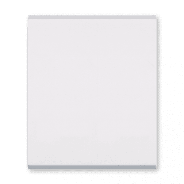 Aling conel Sklopka 6552.0, Jednopolna, 10A, 2M