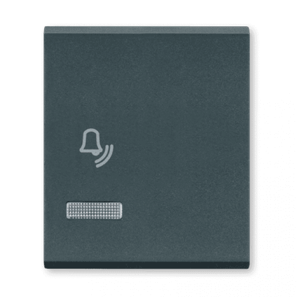 Aling conel Taster zvona sa indikacijom Mant 6600I.A, 10A