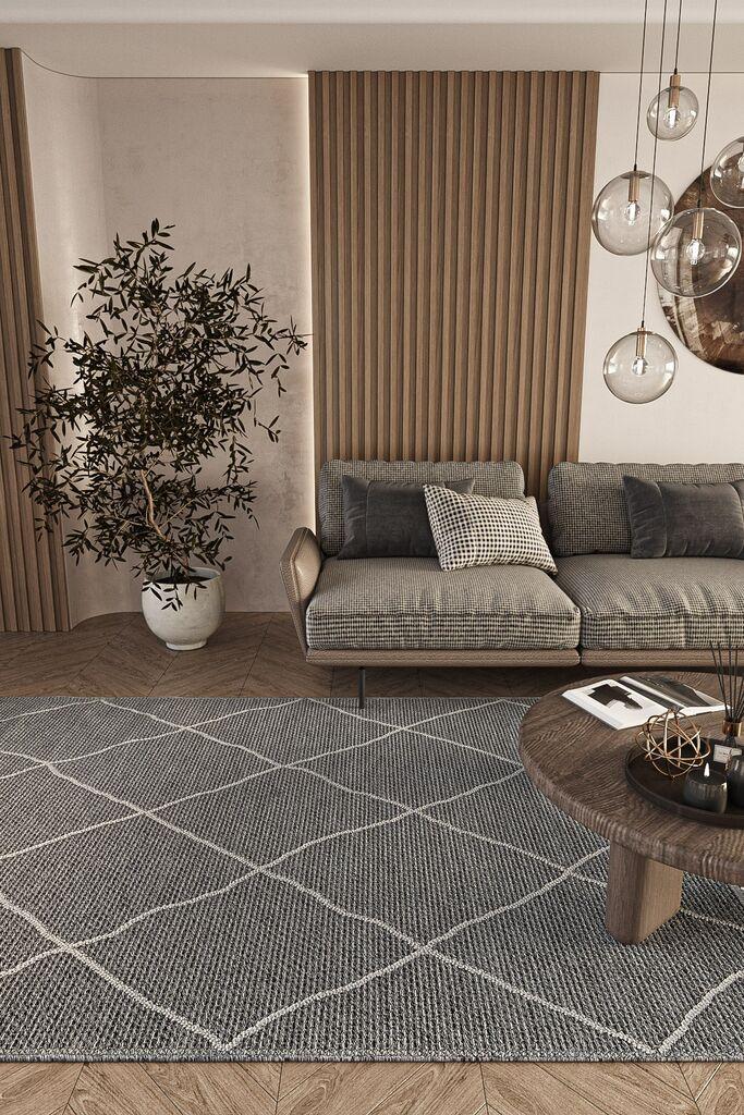 Conceptum Hypnose Tepih Elit 02, 160x230 cm, Sivi