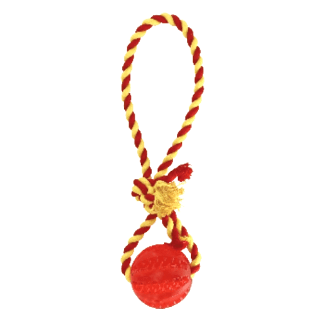 Igračka za pse TPR loptica na kanapu, Ø5x30cm, Crvena