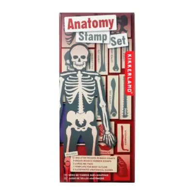 Kikkerland Set pečata  Anatomy
