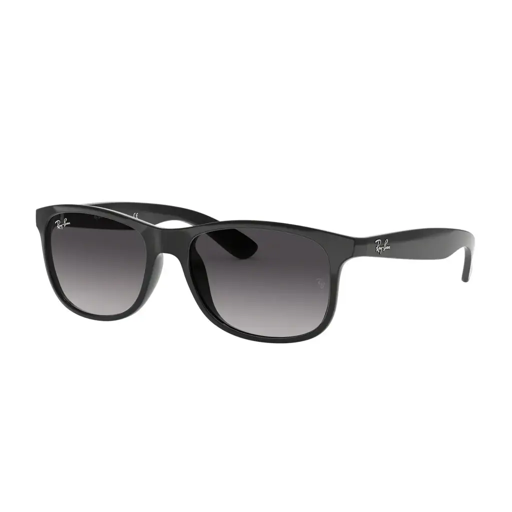 Ray-Ban Muške sunčane naočare Andy 0RB4202 601/8G55, Crne