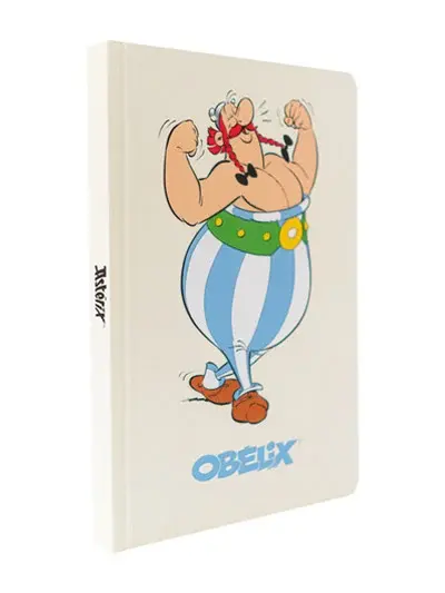 Grupo Erik Editores S. L. Agenda A5 Asterix i Obelix