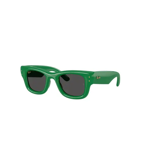 Ray-Ban x A$AP Rocky Wayfarer Puffer Naočare za sunce 0RB4940 683487, Četvrtaste, Zelene