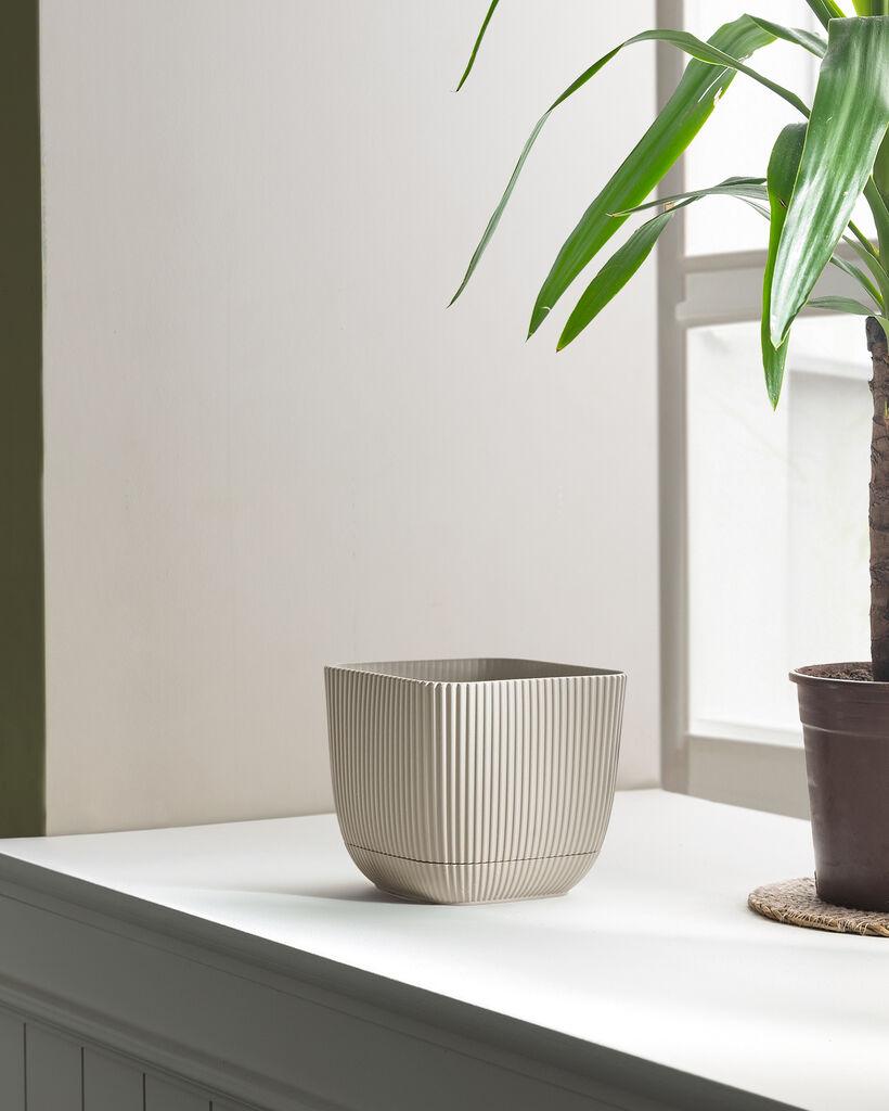 Madame Coco Saksija Abella, 1800ml, Bež