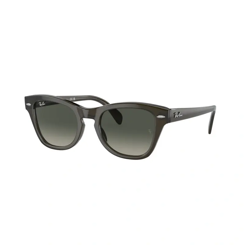 Ray-Ban Ženske naočare za sunce 0RB0707S 664271 53, Tamnosive