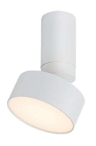 Rabalux Spot lampa Ovidia, Nadgradna, Podesiva, LED, 10W, 3000K, Bela