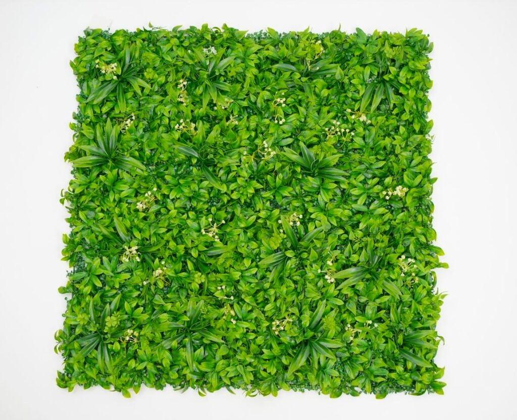 Zeleni zid 3D Amazon 2, 100x100 cm