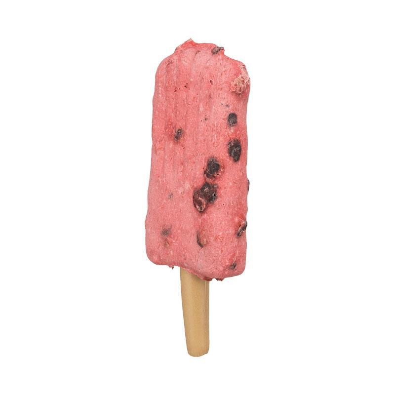 Trixie Sladoled za pse Ice pop, Piletina i borovnica, 55g
