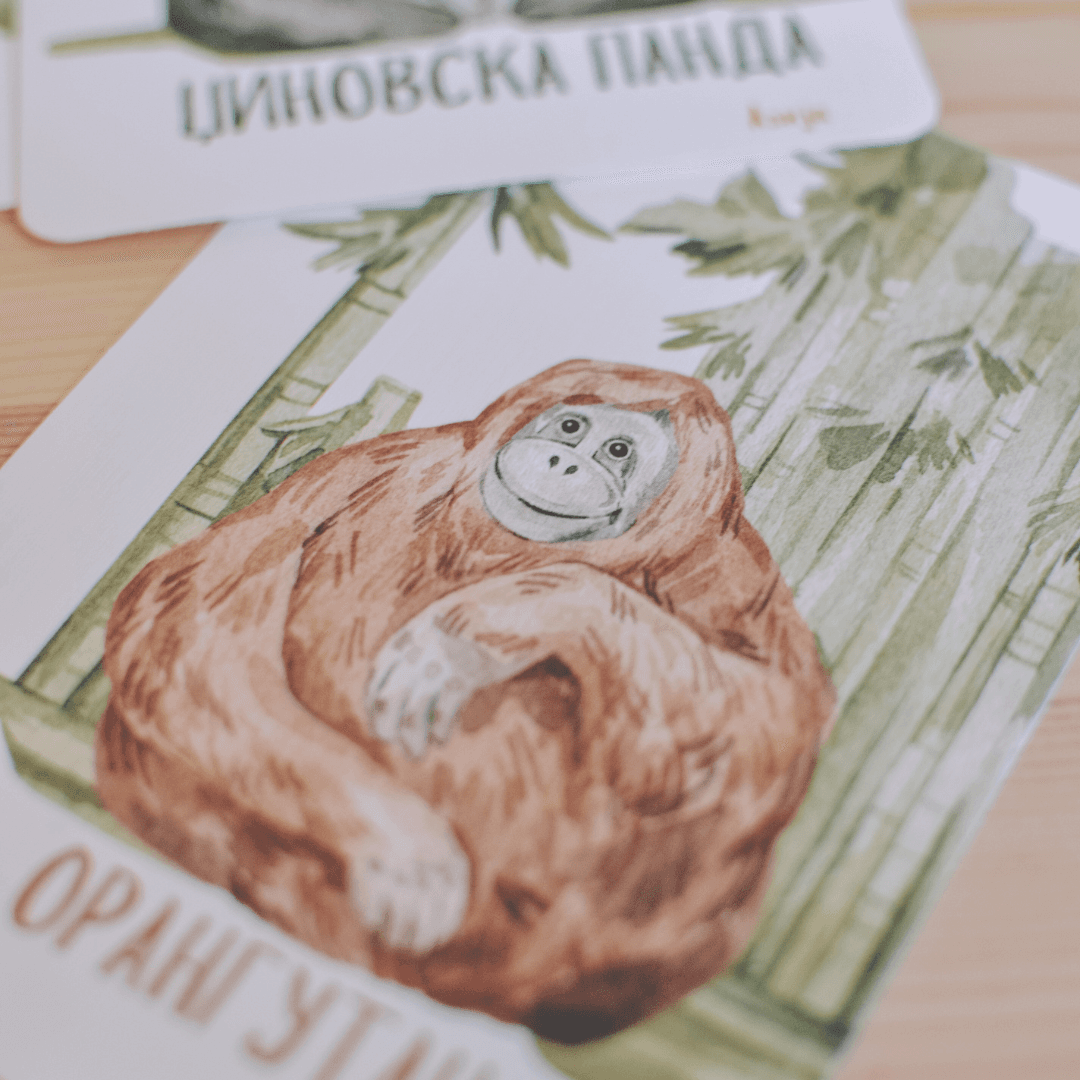 It's a moms world Edukativne kartice za decu Divlje životinje sveta, 70 komada