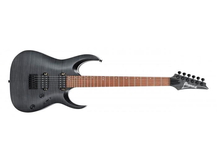 Ibanez Električna gitara RGA42FM-TGF, Transparent Gray Flat