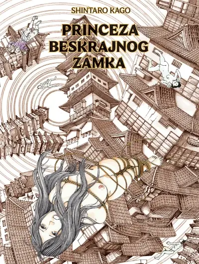 Princeza beskrajnog zamka