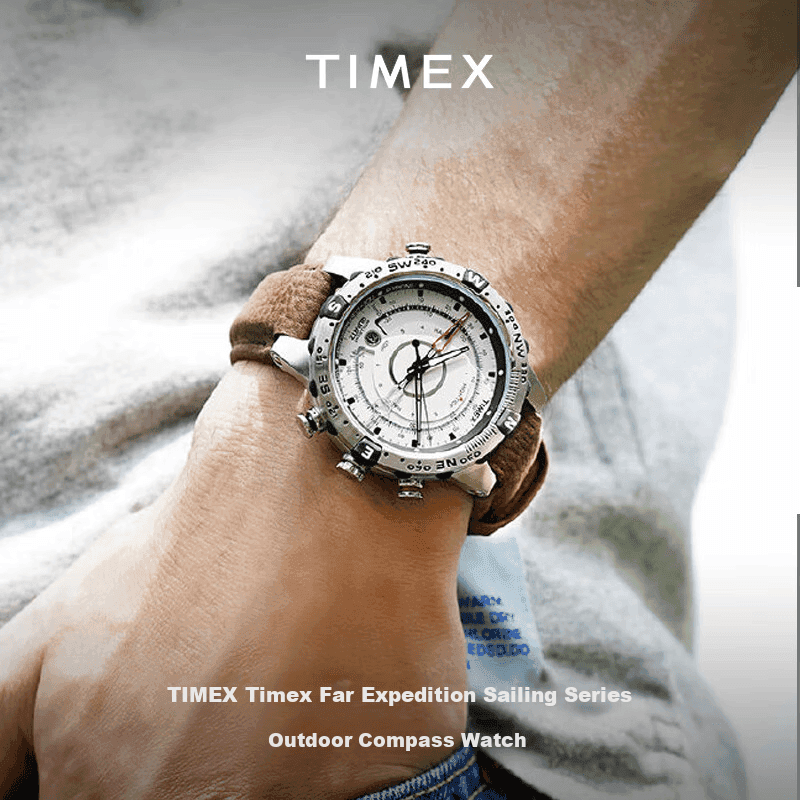 Timex Muški sat T2N721, Braon