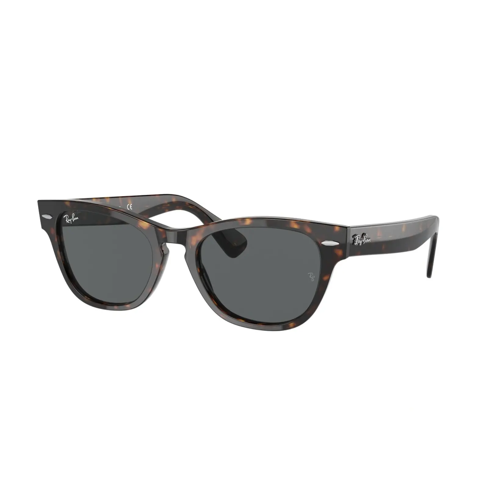 Ray-Ban Ženske naočare za sunce Laramie 0RB2201 902 B1 54, Braon