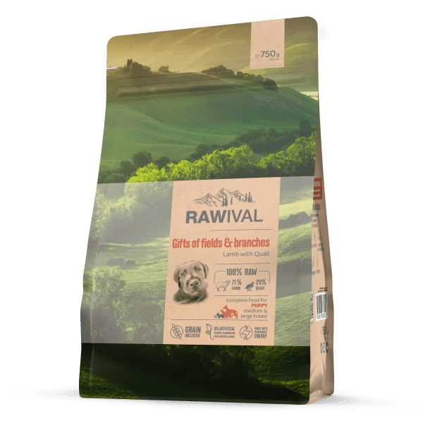 Craftia Rawival Suva hrana za štence srednjih i velikih rasa, od jagnjetine sa prepelicom, 0.75kg