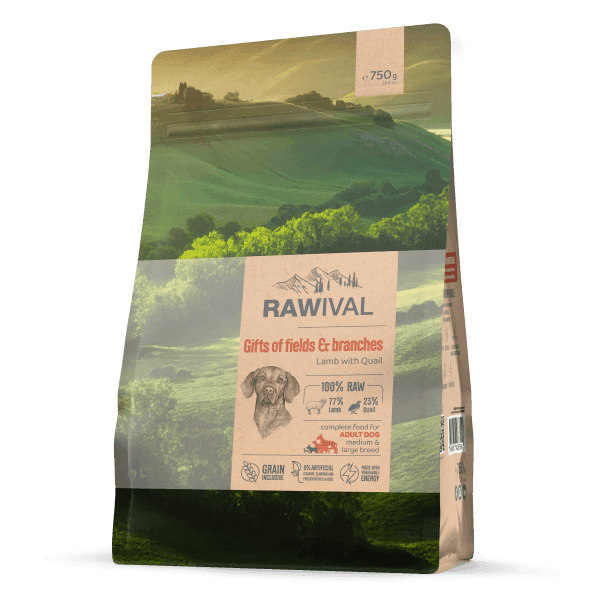 Craftia Rawival Suva hrana za odrasle pse srednjih i velikih rasa od jagnjetine sa prepelicom, 0.75kg