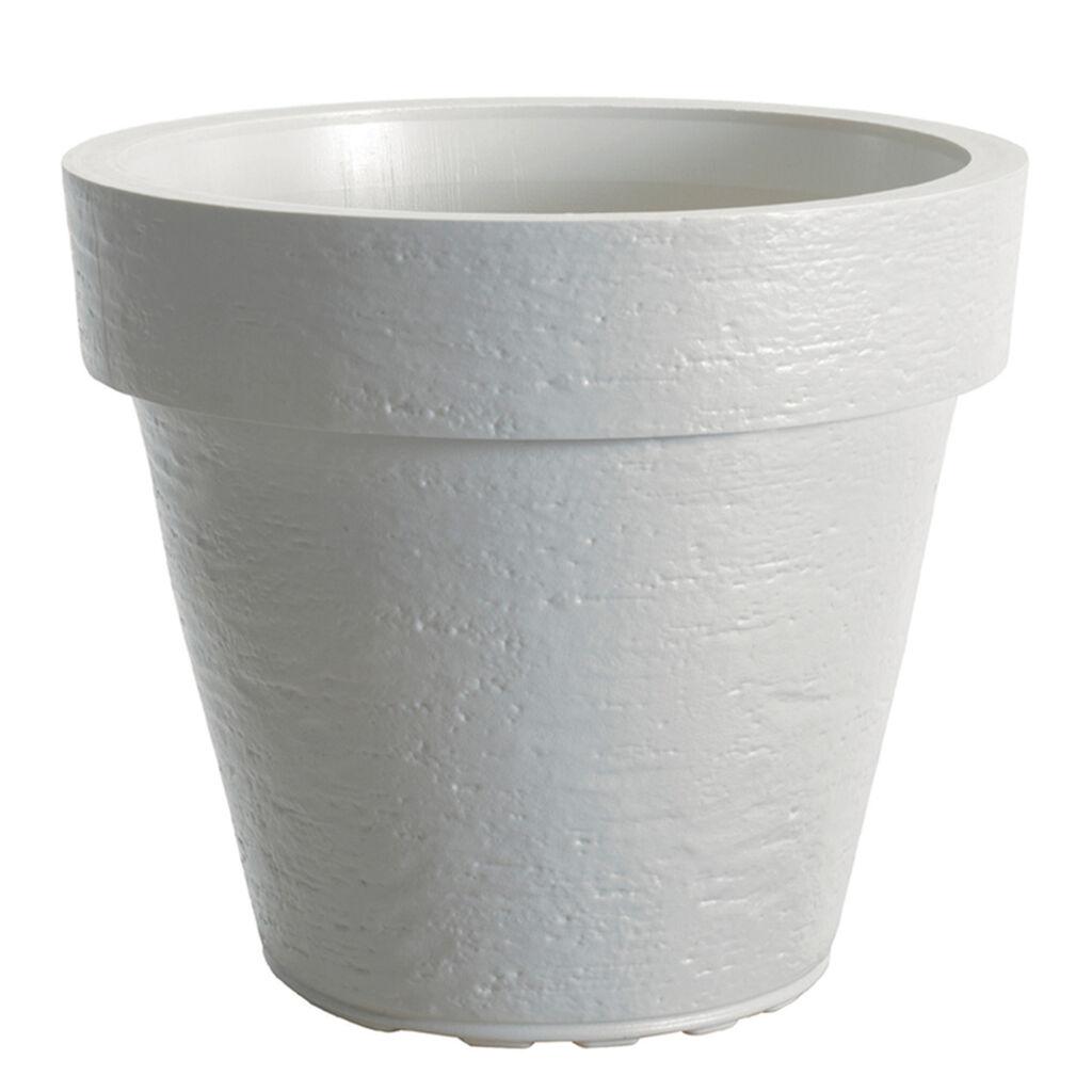 Di Martino Saksija Tago, 37 l, Bela