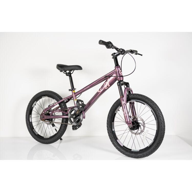 WinnerBike Dečiji bicikl TN24Q22, 20", Ljubičasti