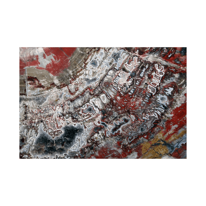 Canvas Slika na platnu Fosilizovano drvo Arizona – SAD, 80 x 120 cm