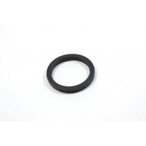 Dihtung regulatora plina