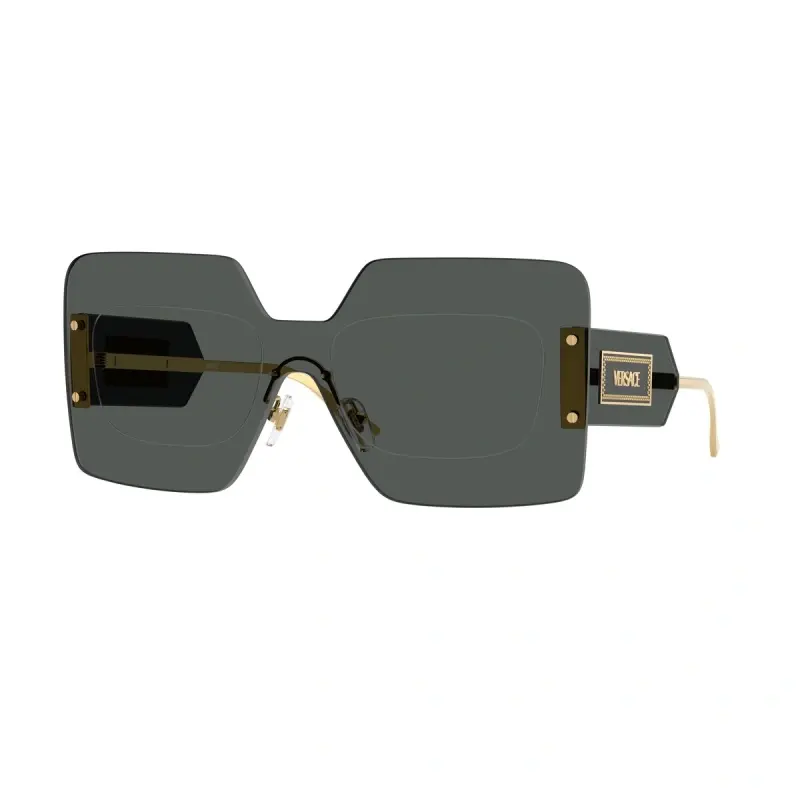 Versace Naočare za sunce 0VE2277 100287 42, Crne