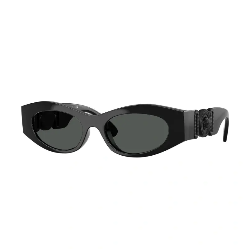 Versace Naočare za sunce 0VE4480U 536087 51, Crne