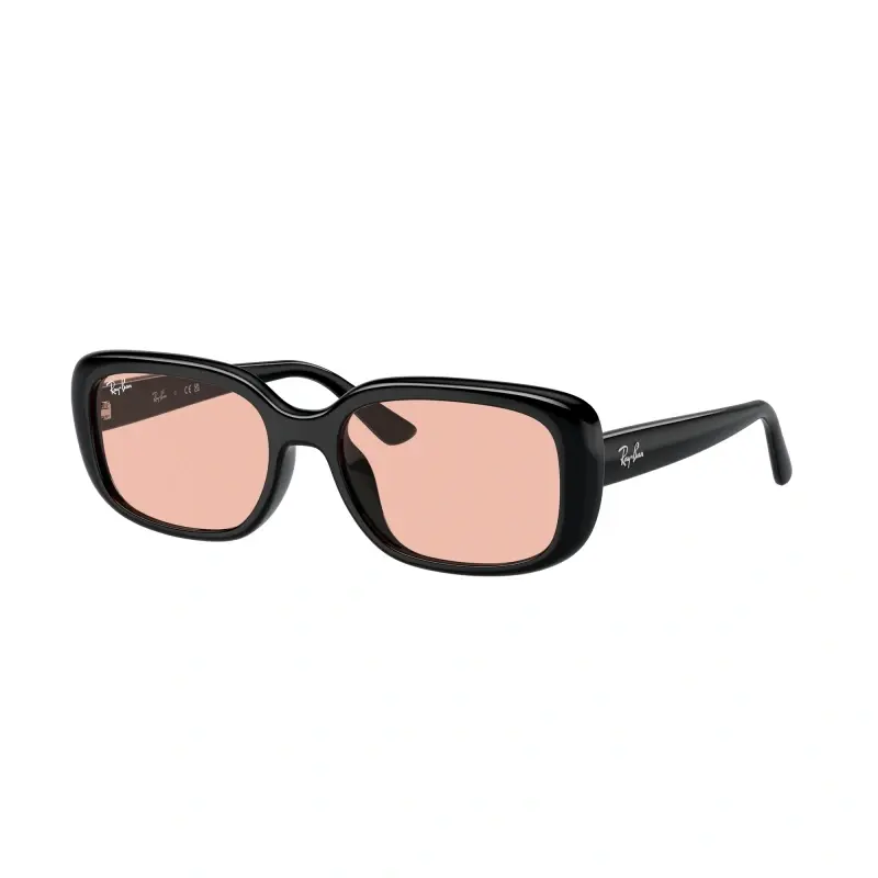 Ray Ban Naočare za sunce 0RB4421D 667784 56, Crne