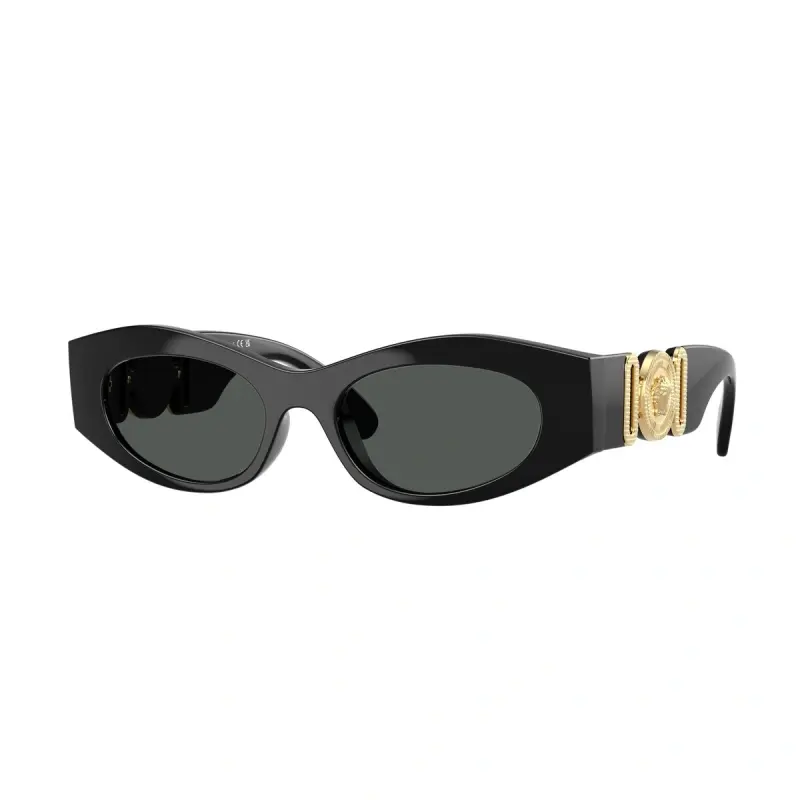 Versace Naočare za sunce 0VE4480U GB1/87 51, Crne