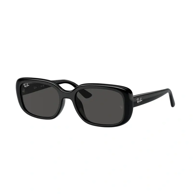 Ray Ban Naočare za sunce 0RB4421D 667787 56, Crne