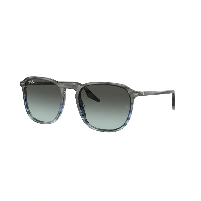 Ray Ban Naočare za sunce 0RB2203 1391GK 55, Tamnosive