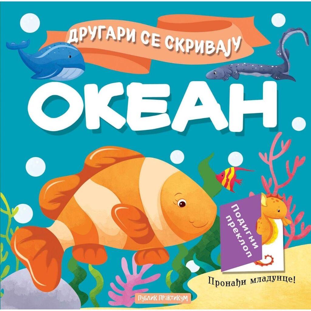 Drugari se skrivaju - Okean