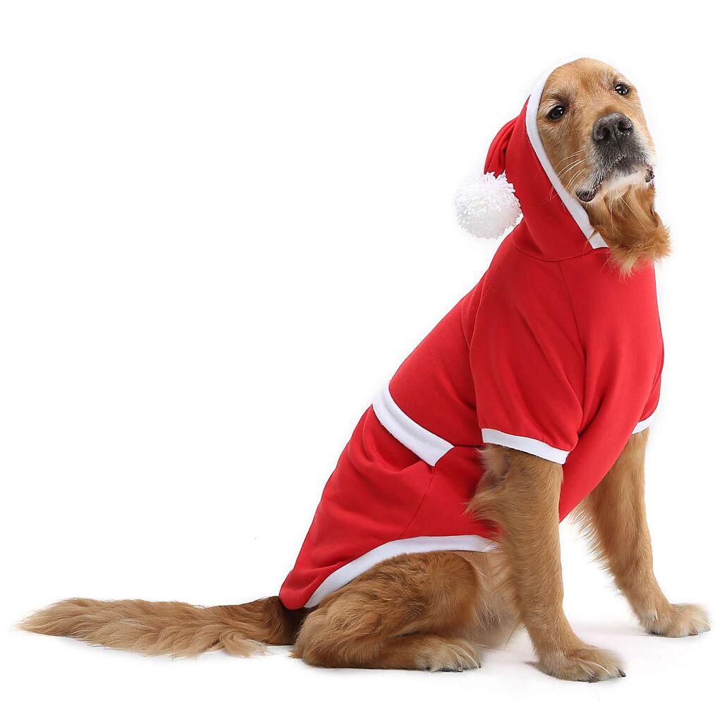 Paws & Whiskers Odelo za pse Christmassweat, Crveno