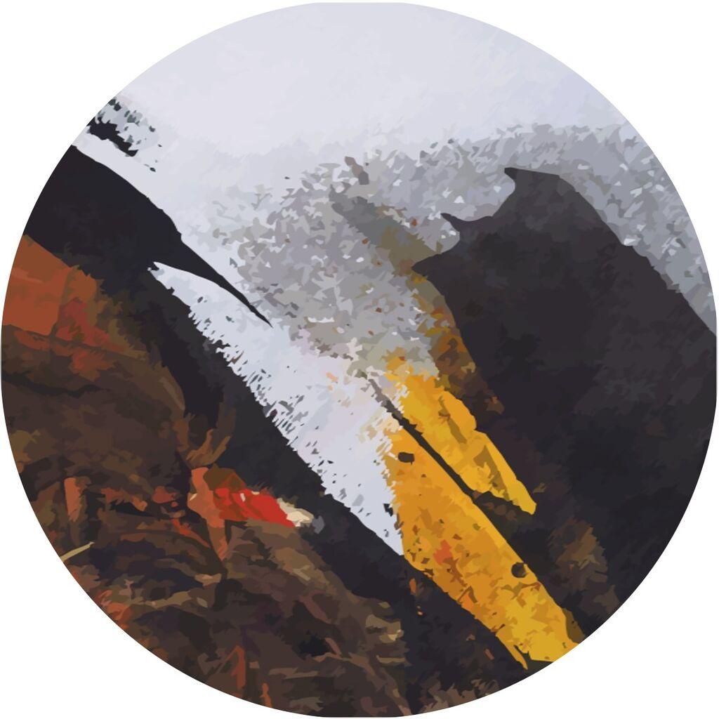 Conceptum Hypnose Tepih CT-2056 Y, 80 cm, Šareni