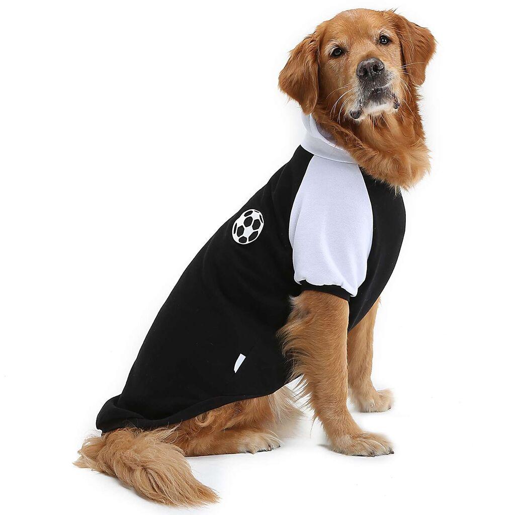 Paws & Whiskers Odelo za pse Blackballsweat, Crno