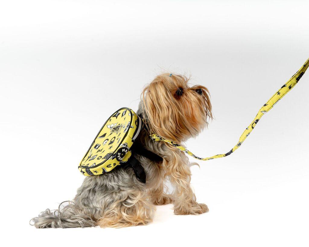 Paws & Whiskers Ranac i povodac za pse, Žuti
