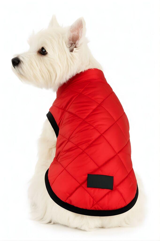 Paws & Whiskers Odelo za pse, Crveno