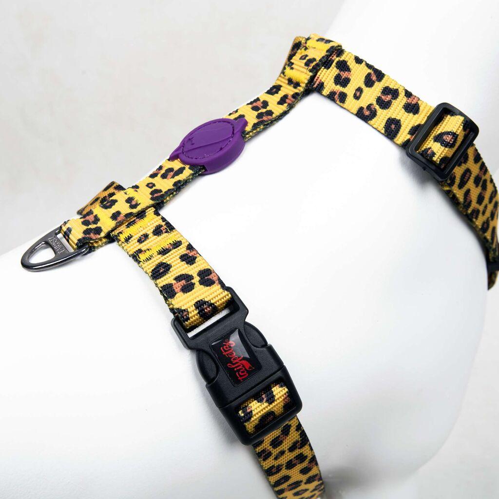Paws & Whiskers Am za pse Leopard