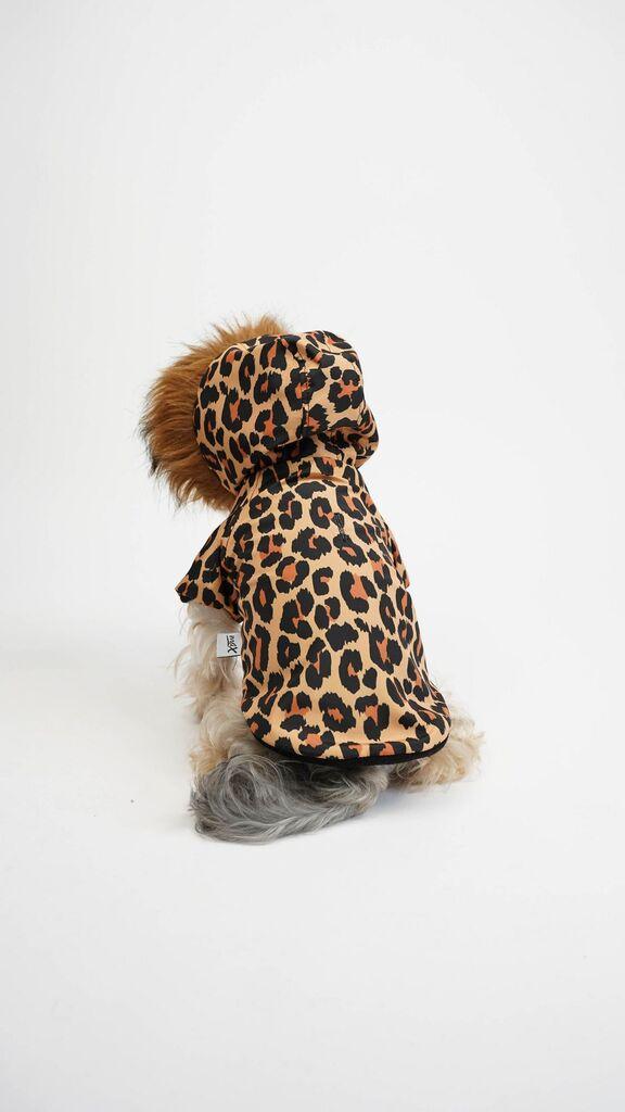 Paws & Whiskers Odelo za pse Leopar Coat, Šareno