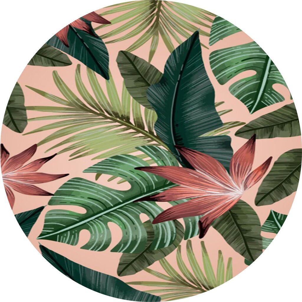 Conceptum Hypnose Tepih CT-2151 Y, 80 cm, Šareni