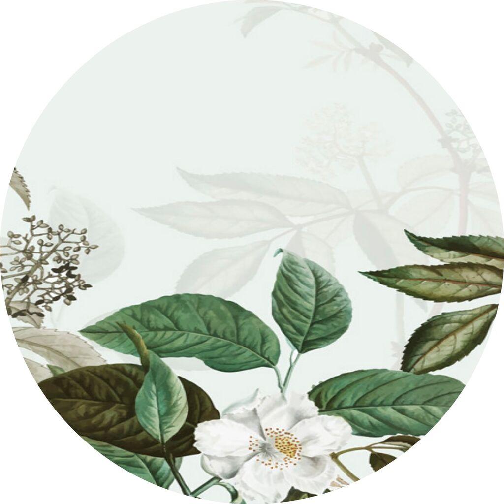 Conceptum Hypnose Tepih CT-2144 Y, 180 cm, Šareni