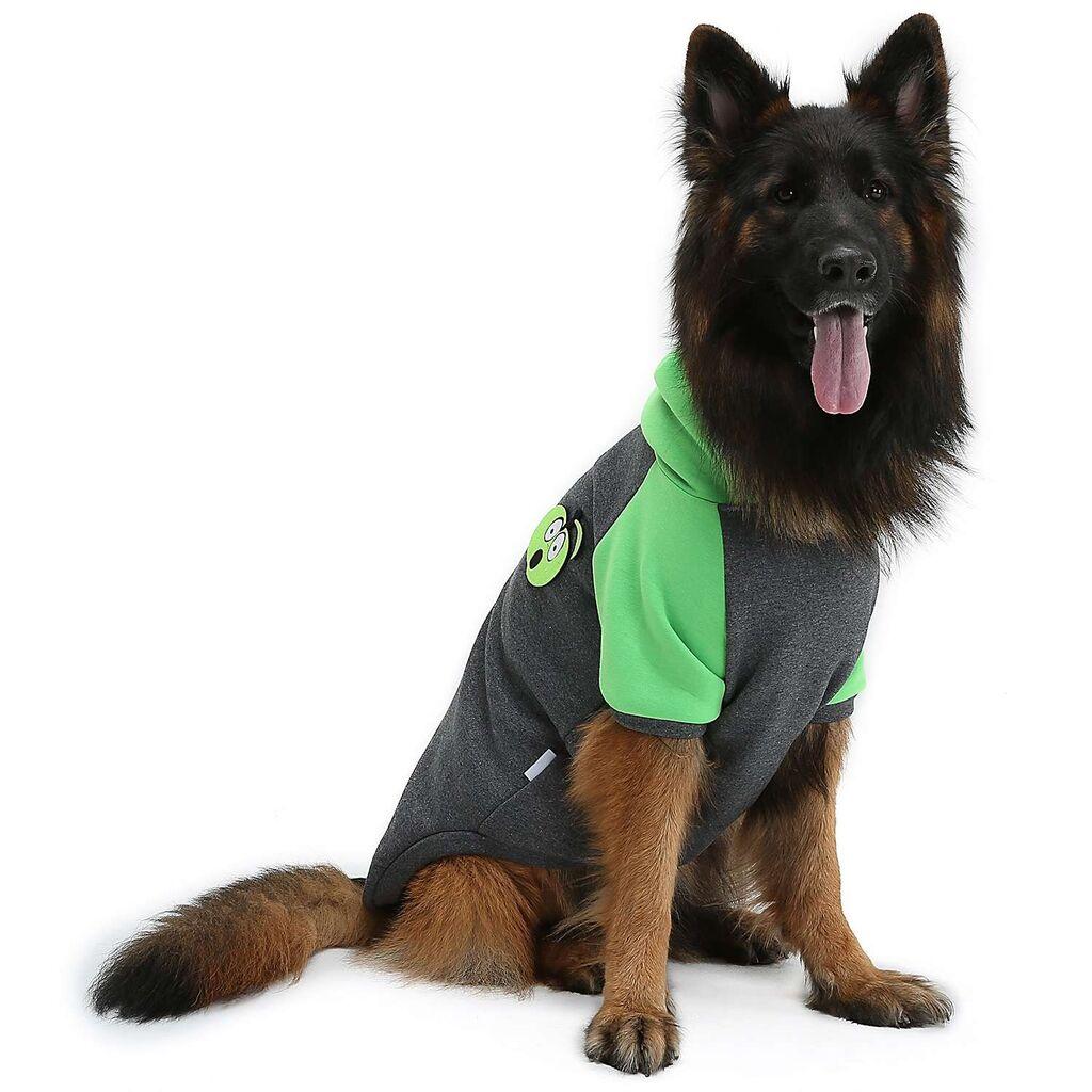 Paws & Whiskers Odelo za pse Applesweat, Zeleno