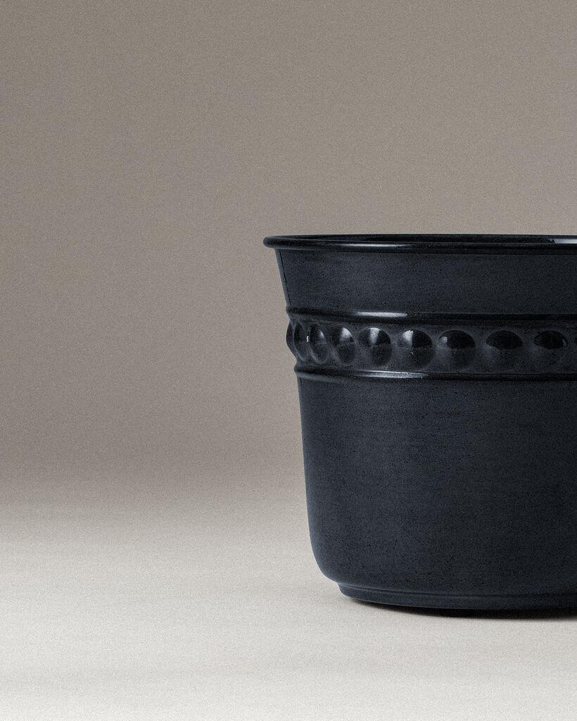 Madame Coco  Saksija Rose