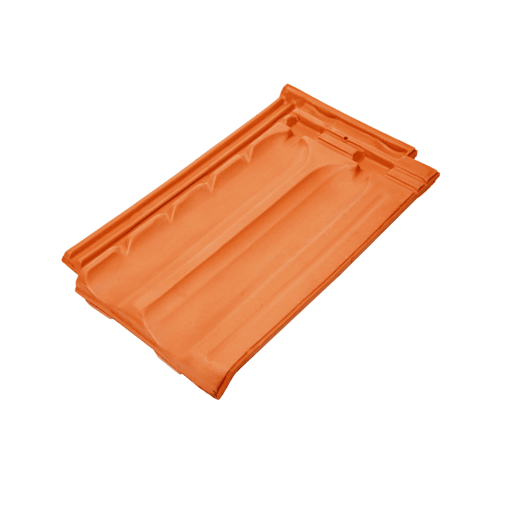 Toza Marković Žljebnjak