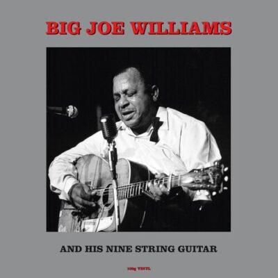 Big Joe Williams - Big Joe Williams and His Nine String Guitar