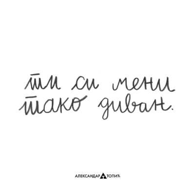 Aca Top Cat Nalepnica Tako divan, 7.5x5.5cm, Bela