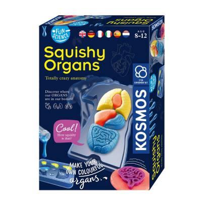 Kosmos Edukativni set Fun Science Squichy organs