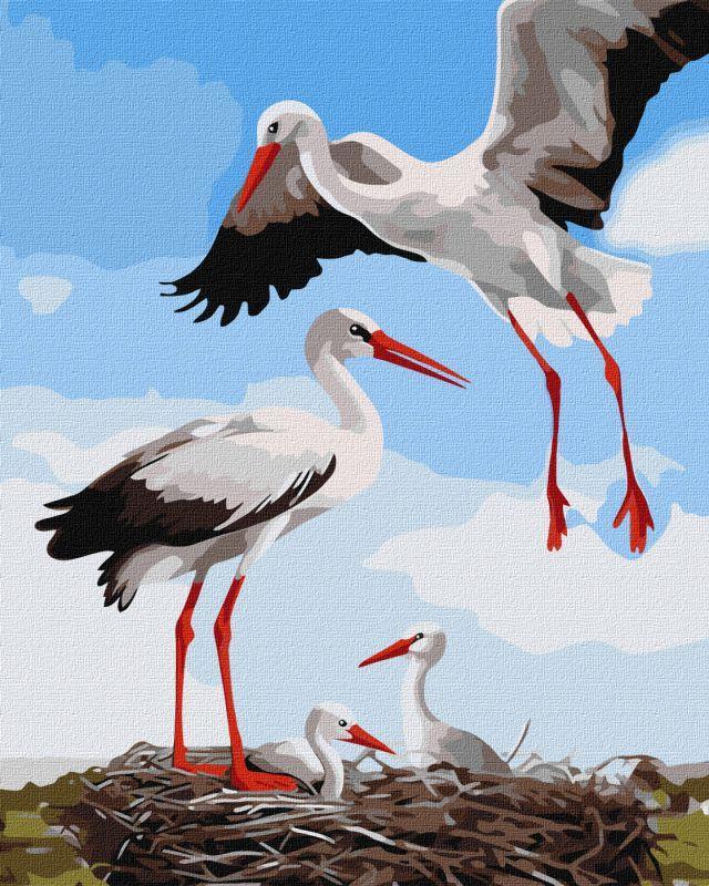 Ideyka Slika po brojevima Rode, 40x50cm