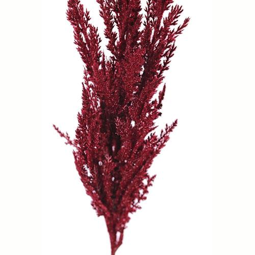 Veštačka grana cveća Pampas, 116cm, Crveni