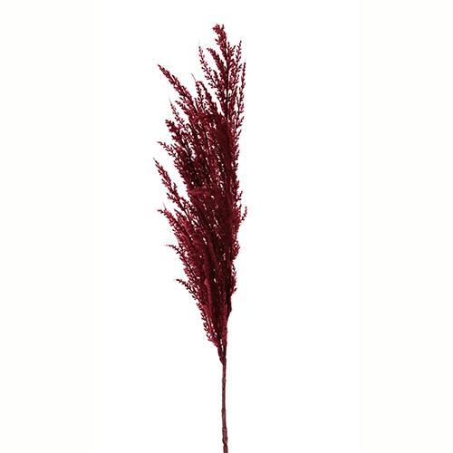 Veštačka grana cveća Pampas, 100cm, Crveni