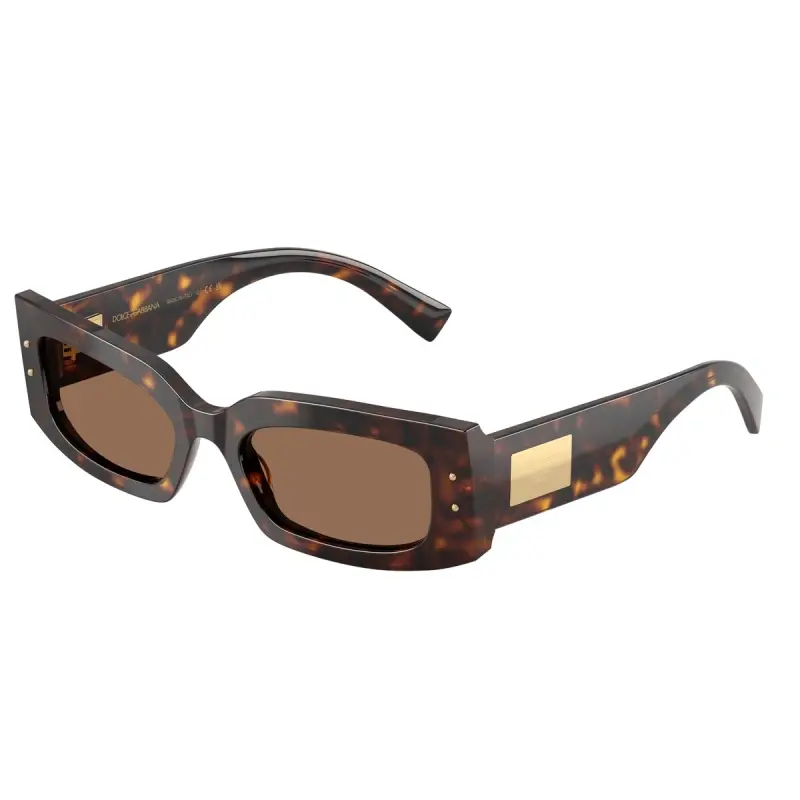 Dolce & Gabbana Ženske naočare za sunce 0DG4479 502/73, Braon